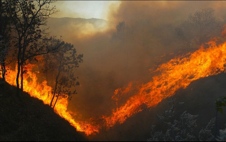 La temporada de estiaje también incrementa la probabilidad de incendios forestales en las zonas boscosas. EL INFORMADOR / ARCHIVO
