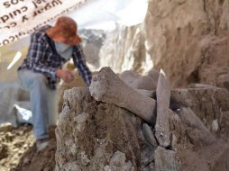 Arqueólogos laboran para constatar la magnitud del hallazgo de restos óseos de mamut que se encuentran dispersos en un área de casi 300 metros cuadrados. NTX/ESPECIAL