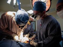 Los altos índices de obesidad que hay en el país, derivados de una mala alimentación, provocan que muchas personas no puedan donar su riñón para un trasplante. EL INFORMADOR/Archivo