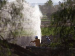 El incidente fue reportado alrededor de las 15:00 horas por pobladores de la zona. SUN/ARCHIVO