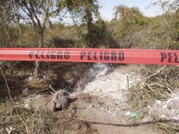 Hasta ahora, los tres individuos aún no han sido identificados. EL INFORMADOR/ARCHIVO