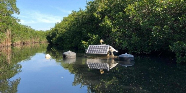 Colocan equipos de aireaci&oacute;n en estero de Puerto Vallarta