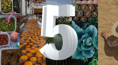 De la semilla al reciclaje: 5 innovaciones para un mundo mejor