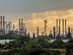 El Presidente asegura que las cuatro empresas extranjeras concursantes 