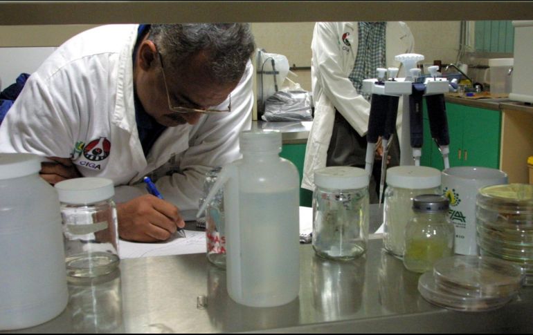 Se donaron casi 30 millones de pesos en equipos científicos para investigación en las áreas de balística, laboratorios químicos y documentos. EL INFORMADOR / ARCHIVO