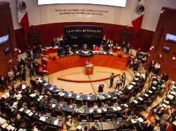 El pasado 7 de marzo, senadores se pronunciaron a favor del aborto legal y seguro colocando un pañuelo verde en sus butacas. Algunas senadoras que se oponen al aborto reclamaron que les colocaran el pañuelo en sus lugares. NTX/ARCHIVO