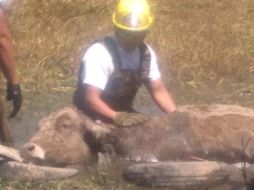 Los hechos ocurrieron en un canal que se encuentra en el cruce de avenida Patria y José María Méndez Olivares, en la colonia 5 de Mayo. ESPECIAL