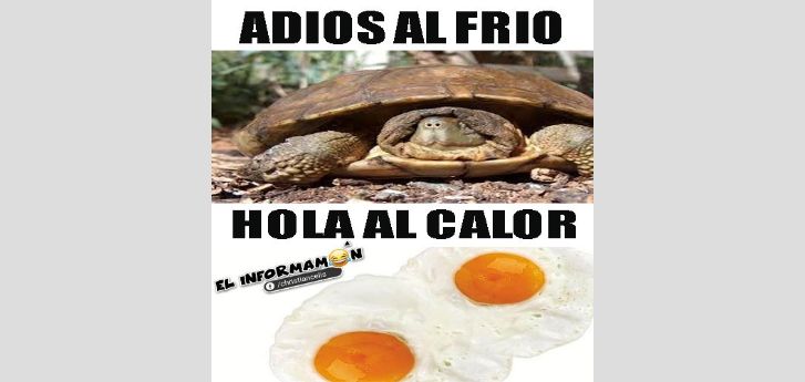 Solo los hombres entenderán