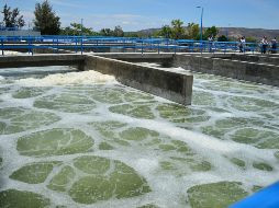 Además, según el académico Hermes Ulises Ramírez, la Universidad de Guadalajara (UdeG) tiene la capacidad de ayudar al gobierno en las acciones contra esta crisis.EL INFORMADOR/ ARCHIVO