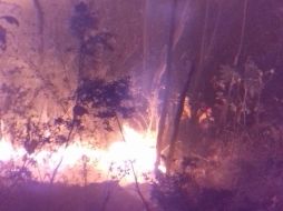 En el lugar trabajan para combatir el incendio 44 brigadistas de diferentes dependencias. ESPECIAL/Bomberos de Zapopan