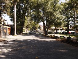 La calle Huicholes, en la colonia Monraz, tiene nuevo adoquinado y estrenó áreas verdes. EL INFORMADOR/E. Barrera