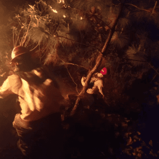 Incendio en Bosque La Primavera afecta 16 hectáreas en total