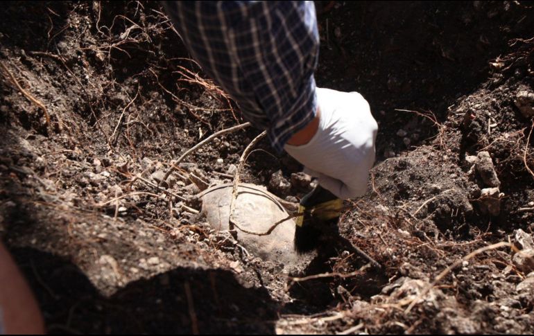 De 15 restos, 12 ya han sido exhumados; antropólogos trabajan en dos fosas para la recuperación de tres cuerpos más. EFE/ARCHIVO