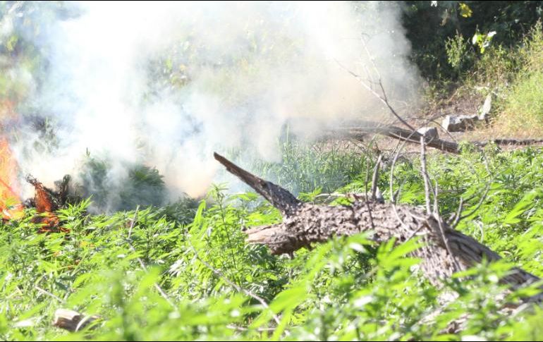 Autoridades iniciaron con las investigaciones pertinentes sobre estos hallazgos. EL INFORMADOR / ARCHIVO