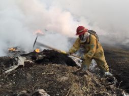 Se cree que el incendio comenzó debido a que dos pequeños estaban en el lugar jugando con fuego, pero aún no ha sido confirmado. ESPECIAL / Protección Civil Zapoan