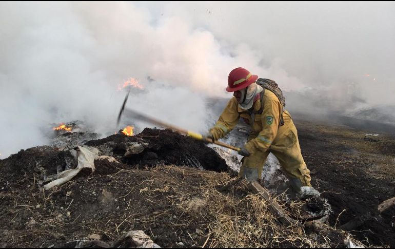 Se cree que el incendio comenzó debido a que dos pequeños estaban en el lugar jugando con fuego, pero aún no ha sido confirmado. ESPECIAL / Protección Civil Zapoan
