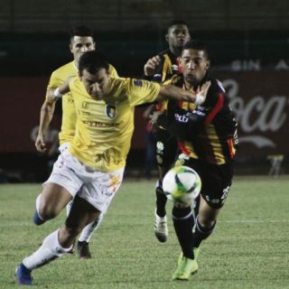 Los Leones Negros no pueden de visita