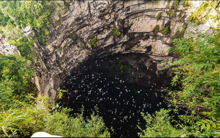 EL mejor lugar para vivir una aventura. CORTESÍA / TURISMO SLP