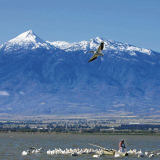 Rescatarán a la laguna de Zapotlán con 50 MDP