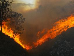 Cerca de 15 mil bomberos combaten el incendio. ARCHIVO / EL INFORMADOR