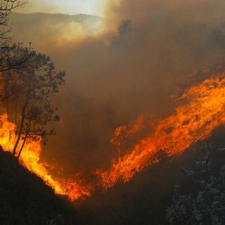 Mueren 30 bomberos al intentar apagar un incendio en China