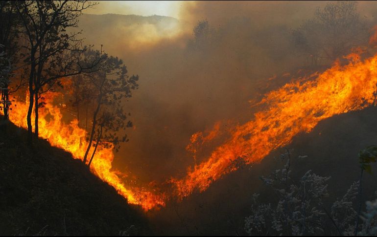 Cerca de 15 mil bomberos combaten el incendio. ARCHIVO / EL INFORMADOR