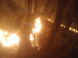 Brigadistas trabajan por flancos de dos equipos. ESPECIAL / Bomberos de Zapopan