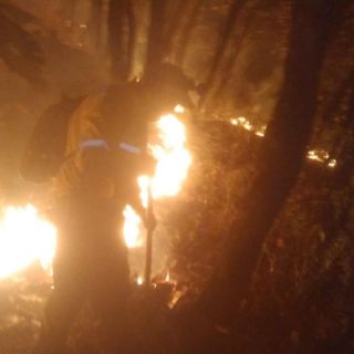 Combaten incendio en Cerro del Colli