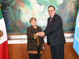 Conversaron sobre los derechos humanos en México y su correcta defensa. TWITTER / @SRE_mx