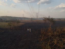 La dependencia subió a sus redes sociales fotos y videos de los trabajos. TWITTER/@CFEmx
