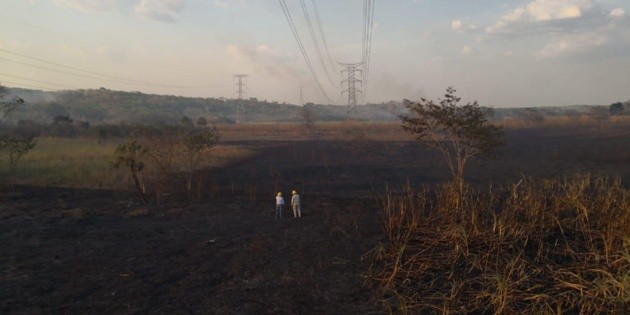 Apag&oacute;n en la pen&iacute;nsula de Yucat&aacute;n, por incendio en pastizal
