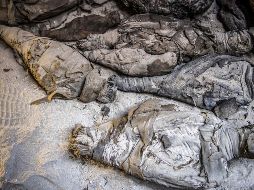 Más de 50 ratones momificados, gatos y aves se encontraron rodeando los dos cuerpos humanos. Todas las momias y otras piezas halladas en esta cámara funeraria serán exhibidas al público. AFP / K. Desouki