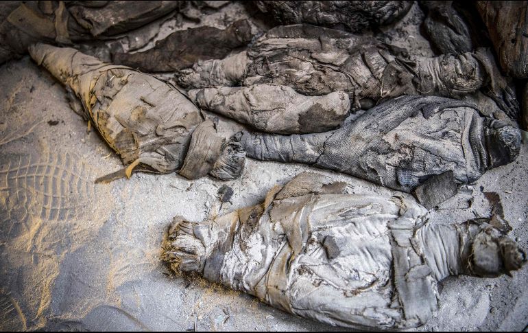 Más de 50 ratones momificados, gatos y aves se encontraron rodeando los dos cuerpos humanos. Todas las momias y otras piezas halladas en esta cámara funeraria serán exhibidas al público. AFP / K. Desouki