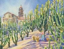 Allí se encuentra, silencioso, el Templo de San Sebastián y los cultivos de maíz, frijol y alfalfa. ESPECIAL / J. Monroy