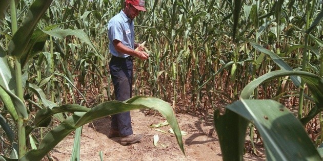 Se duplican visas para trabajadores temporales en EU