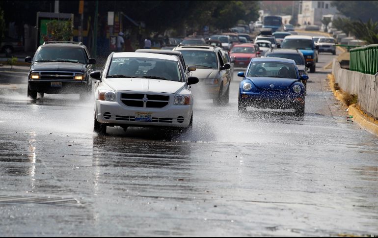 Al año se registran hasta 12 mil fugas de agua. ARCHIVO / EL INFORMADOR