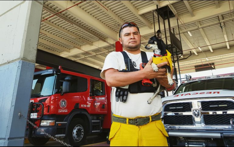 “Daisy” es parte de Protección Civil Zapopan. Tanto, que tiene su propio uniforme de la corporación. EL INFORMADOR / P. López