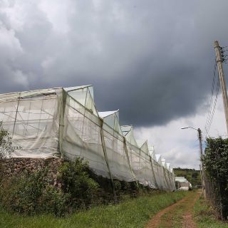Abrirán centro de investigación para modernizar el campo en Jalisco