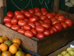 El tomate es el tercer producto agropecuario que más exporta México a Estados Unidos. EL INFORMADOR/ARCHIVO