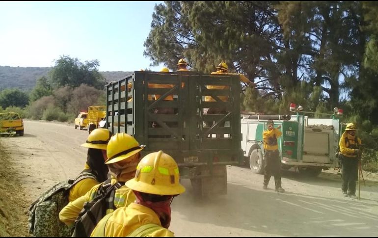 A nivel Estado, van 80 incendios forestales que han afectado un 892 hectáreas en lo que va de 2019. ESPECIAL/ Bomberos de Zapopan