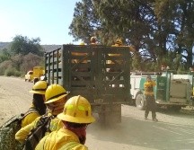 A nivel Estado, van 80 incendios forestales que han afectado un 892 hectáreas en lo que va de 2019. ESPECIAL/ Bomberos de Zapopan