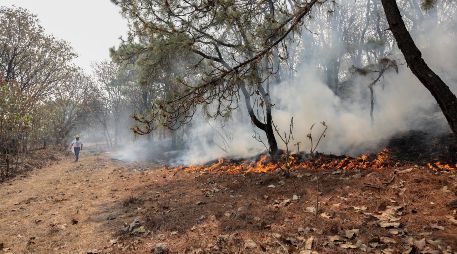 + Informador: Las noticias del 11 de abril de 2019