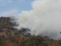 Se movilizaron unas 62 personas de brigadas para combatir el incendio. ESPECIAL / Bomberos de Zapopan