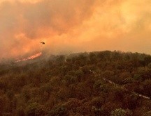 Durante la presentación del Centro Comunitario Colmena en San Juan de Ocotán, el alcalde dijo que se presume que los últimos dos incendios en La Primavera fueron provocados. ESPECIAL