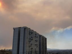 El incendio en el Bosque de La Primavera se encuentra activo desde ayer a las 14:30 horas; de momento se mantiene saldo blanco. EL INFORMADOR / O. Álvarez