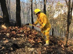 Al momento no se tiene estimado cuánto tiempo podrían tardar en sofocar las llamas y el área que podría haber sido afectada. ESPECIAL/ Protección Civil Jalisco