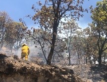 Para lograr controlarlo se requirió del trabajo de 615 elementos de distintas dependencias estatales, federales y municipales, quienes fueron apoyados con siete helicópteros y 132 vehículos terrestres. ESPECIAL/ Protección Civil Jalisco