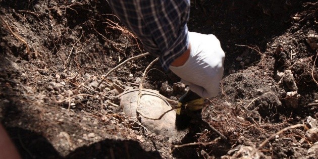 Encuentran 20 cuerpos en fosas clandestinas de Sonora