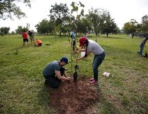 Declaran que la reforestación se realizará en zonas cercanas a La Primavera, pero no en las zonas afectadas por el incendio. EL INFORMADOR/ARCHIVO
