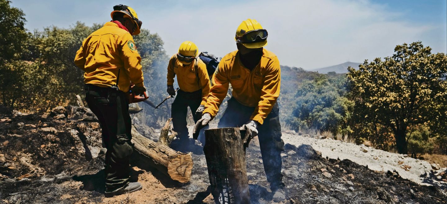 Unos 639 elementos de distintas dependencias federales, estatales y municipales combatieron el incendio en el Área Natural Protegida (ANP) del Bosque La Primavera, que fue controlado a las 15:00 horas de ayer. ESPECIAL